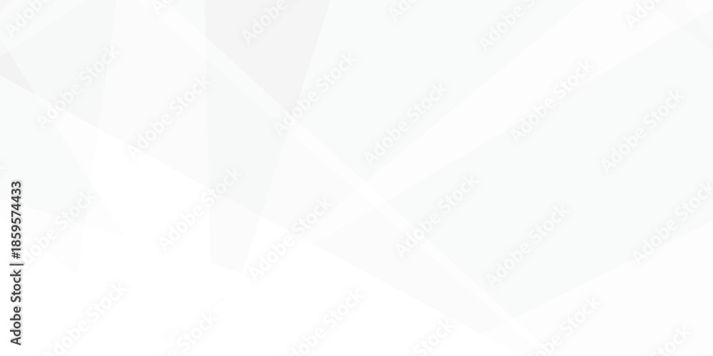 Fototapeta premium Abstract background with white and gray and geometric style with simple lines and corners, polygons as background geometric style with simple lines and corners, polygons as background paper texture