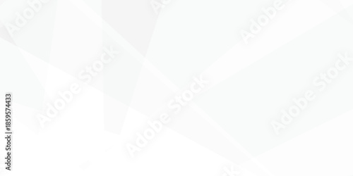 Abstract background with white and gray and geometric style with simple lines and corners, polygons as background geometric style with simple lines and corners, polygons as background paper texture