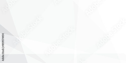 Abstract background with white and gray and geometric style with simple lines and corners, polygons as background geometric style with simple lines and corners, polygons as background paper texture