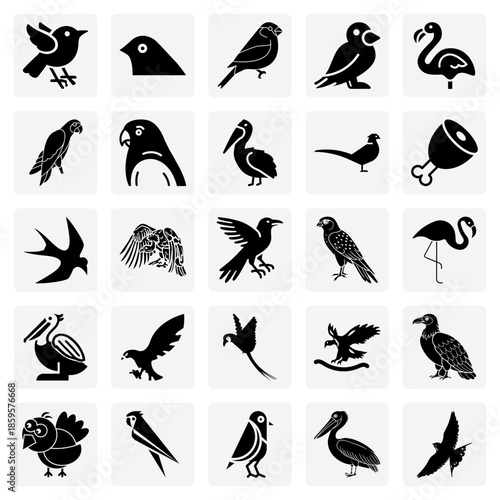 Illustrations For Bird Enthusiasts And Educators – Including The Pheasant, Swallow, Crow, And Domesticated Poultry.