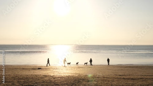 Golden hours people with their pet dogs walk along the Atlantic Ocean beach in western France