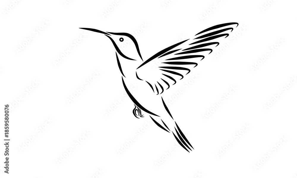 Obraz premium A minimalist black and white line art illustration of a flying hummingbird. The elegant vector silhouette captures the bird in motion, ideal for logos, tattoos, or graphic design elements.