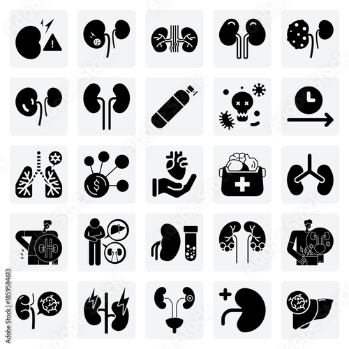 Kidney Conditions And Treatments – Kidney Stones, Infections, And Renal Transplant Options For Healthcare And Clinic Websites.