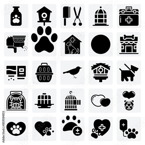 Pet Health And Recovery – Veterinary Care, Elizabethan Collars, And Grooming Supplies For Post-Surgery And General Wellness