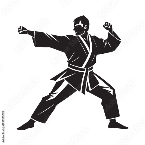 Karate Instructor Demonstrating Technique Silhouette