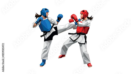 Dynamic martial arts sparring with geometric style
