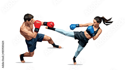 Polygonal art of mixed martial arts fighters in action with boxing gloves