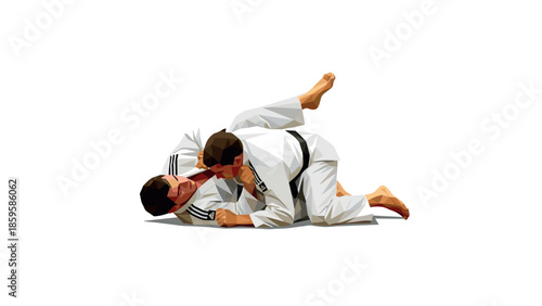 Polygonal martial arts: brazilian jiu jitsu grappling in low poly style