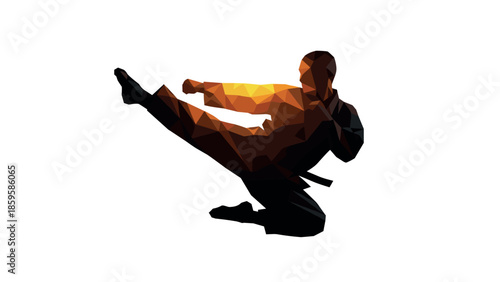 Geometric martial artist performing high kick in low poly style with dynamic lighting