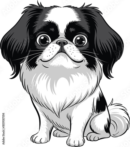  Cute cartoon a illustrator vector Japanese Chin