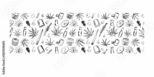 A collection of hand drawn botanical sketches featuring various plant leaves and stems