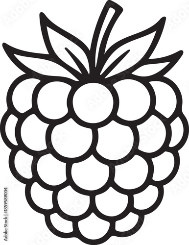 Raspberry outline vector icon