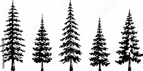 A collection of stylized evergreen trees in a simple black and white design
