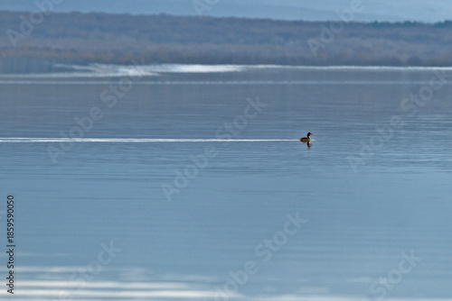 Waterfall on the river with reflection in water