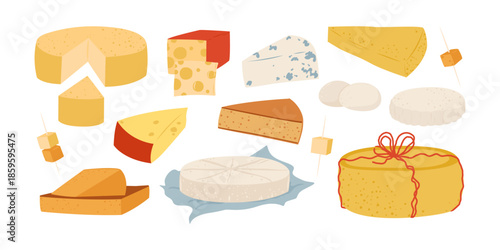 Cheese set. Dairy product, different cheese assortment. Flat vector illustration isolated on white background.