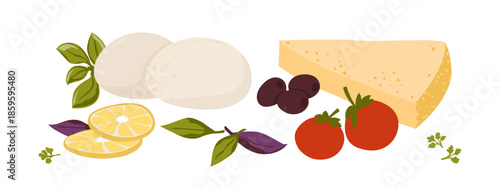 Mozzarella cheese and piece of parmesan with basil leaves, tomatoes, olives and lemon slices. Vector illustration isolated on white. A set of products for making homemade salad or pizza.