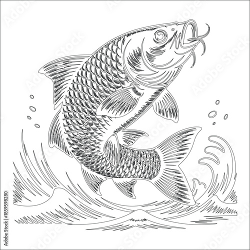 Jumping fish line art illustration monochrome drawing jumping out of water with splashes for coloring book print tattoo design