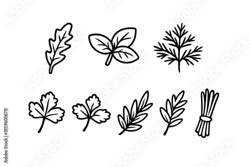 Set of cartoon herbs and leaves on a gray background
