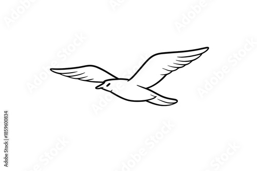 White bird silhouette flying