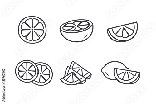 Citrus Fruit Slices and Whole Fruit Icons on Gradient Background