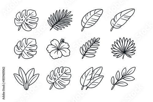 Tropical Leaves and Flower Icons