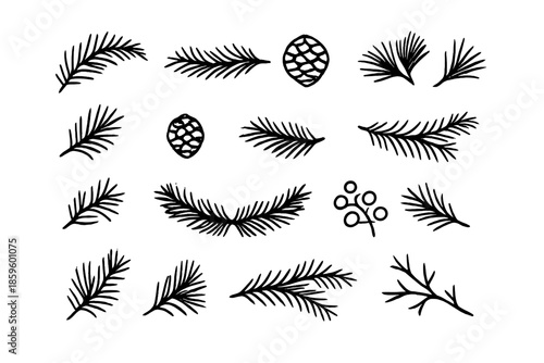 Winter Botanical Elements - Pine Branches and Pinecones