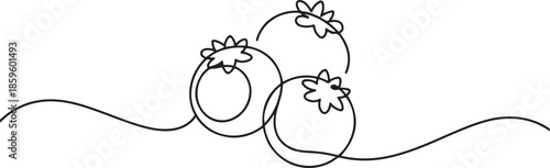 One single line drawing of whole healthy organic blueberries for orchard logo identity. Fresh blue berry fruitage concept for fruit garden icon. one line Icon drawing