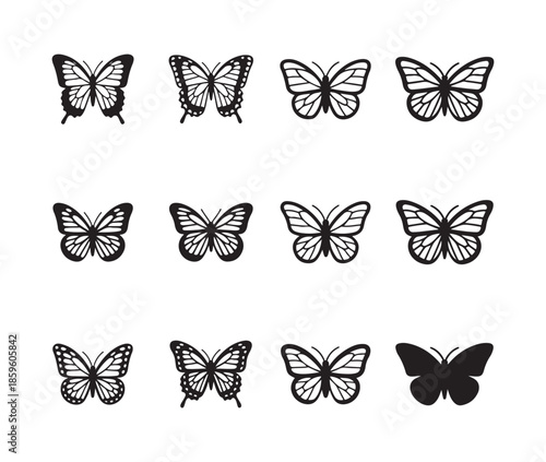 Set of twelve detailed butterfly illustrations showing different patterns and wing configurations