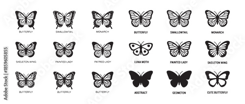 Set of eighteen different butterfly graphics including silhouettes and detailed species labels