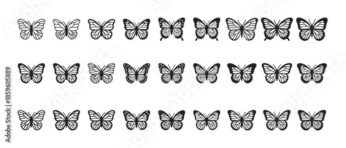 Large collection of small outline butterfly drawings showing slight variations in wing pattern size