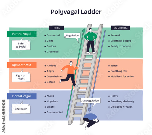 Polyvagal ladder doodle showing regulation vs dysregulation across ventral, sympathetic, and dorsal states, ladder, arrow, and figures illustrate ascent toward safety, transparent background.