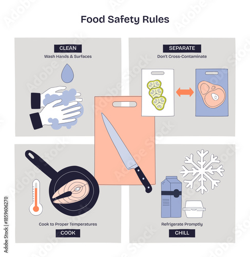 Food safety rules diagram showing clean, separate, cook, chill to prevent contamination, key items, cutting board, knife, thermometer, transparent background. Doodle style diagram