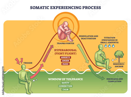 Somatic experiencing process outline, trauma vortex atop an arousal curve, with figures and arrows guiding pendulation and titration within the window of tolerance, transparent background.