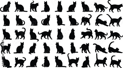 Black cat silhouette collection, 40 feline poses, walking, sitting, stretching, playful postures, expressive design, animal behavior icons