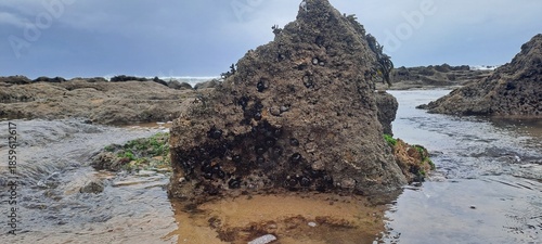 Rocky tidal pool with mussels and barnacles on coastline