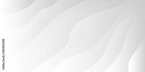 Background Gradient white. Line waves. Gray contour texture