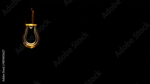 Wallpaper Mural enlightenment. Golden glowing lightbulb suspended in darkness, symbolizing innovation with a minimalist and atmospheric composition. product launch decks.
 Torontodigital.ca