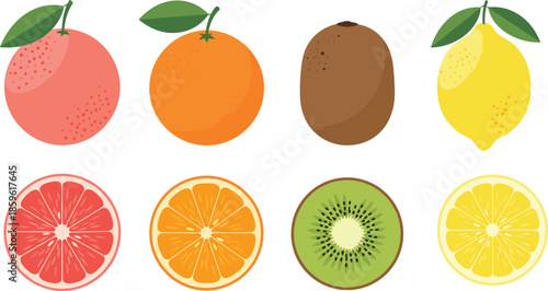 Whole and sliced fruit set, grapefruit, orange, kiwi, lemon comparison, juicy segments, botanical food icons - flat vector illustration