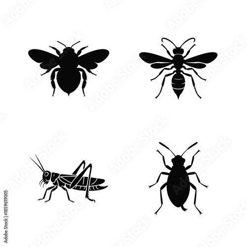 Insect vector silhouette bundle set
