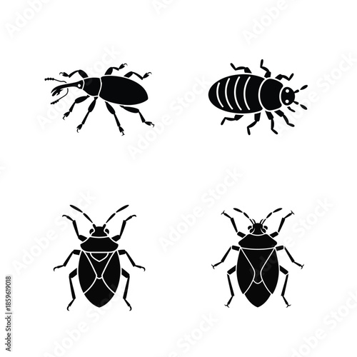 Insect vector silhouette bundle set