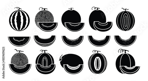Collection of stylized watermelon illustrations in various shapes and sliced views
