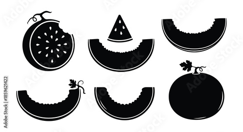 Collection of stylized watermelon illustrations in various shapes and sliced views