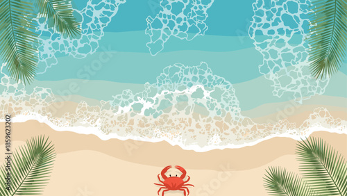 High angle view of a tropical beach with turquoise ocean waves and white foam near palm leaves and a small red crab on sand.