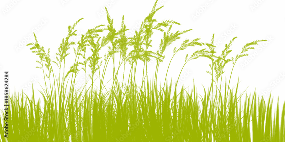 Fototapeta premium Green Grass Borders, Vector Illustration. Grass background. Selective focus. Closeup of green grass isolated on transparent background, can be used on different backgrounds. 3D render.