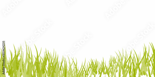 Green Grass Borders, Vector Illustration. Grass background. Selective focus. Closeup of green grass isolated on transparent background, can be used on different backgrounds. 3D render.
