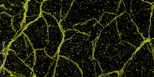 Abstract green and black background, interesting structure pattern on green, liquid web vector illustration. Old cracked claystone texture, earth tone palette, natural crack network, macro sharp. 