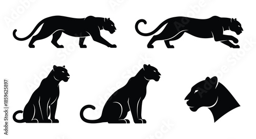 Black panther silhouettes in various poses stalking leaping sitting and head profile