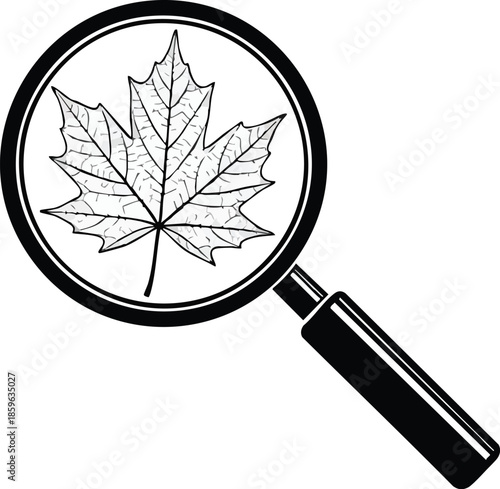 Botanical analysis graphic. Leaves under a magnifying glass. Scientific research.