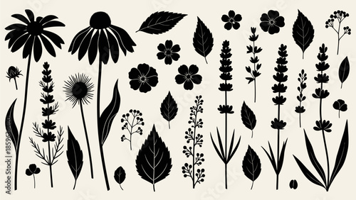 Assorted black botanical silhouettes of wild flowers, leaves, and herbs, perfect for naturalistic design and decorative accents. A versatile vector collection of garden plant elements