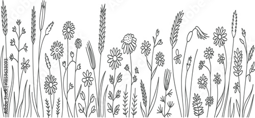Hand drawn wildflower meadow border vector, collection of sketch field flowers, daisies, and wheat in black line art